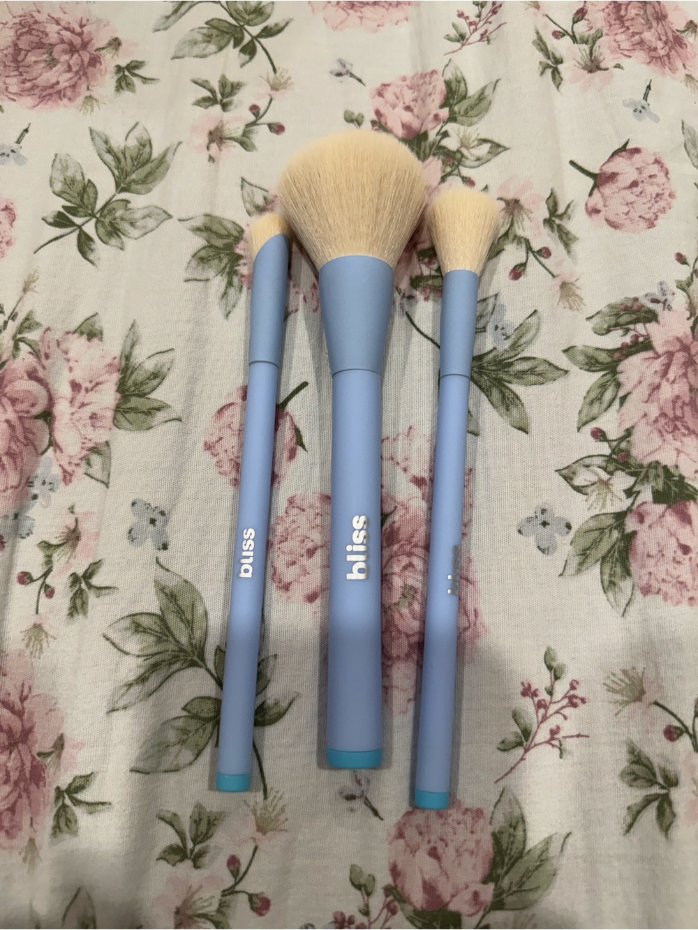 Bliss Makeup Brushes